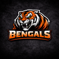 Cincinnati Bengals Team Bundle Mixed Brands