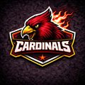 Arizona Cardinals Team Bundle Mixed Brands