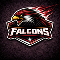 Atlanta Falcons Team Bundle Mixed Brands