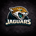 Jacksonville Jaguars Team Bundle Mixed Brands