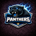 Carolina Panthers Team Bundle Mixed Brands