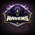Baltimore Ravens Team Bundle Mixed Brands