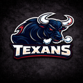 Houston Texans Team Bundle Mixed Brands